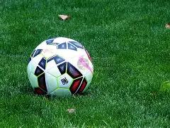 赛鸽射击,鸽赛全过程,录像,韦德体育平台,韦德体育官方网站,韦德体育登录入口,韦德体育app下载